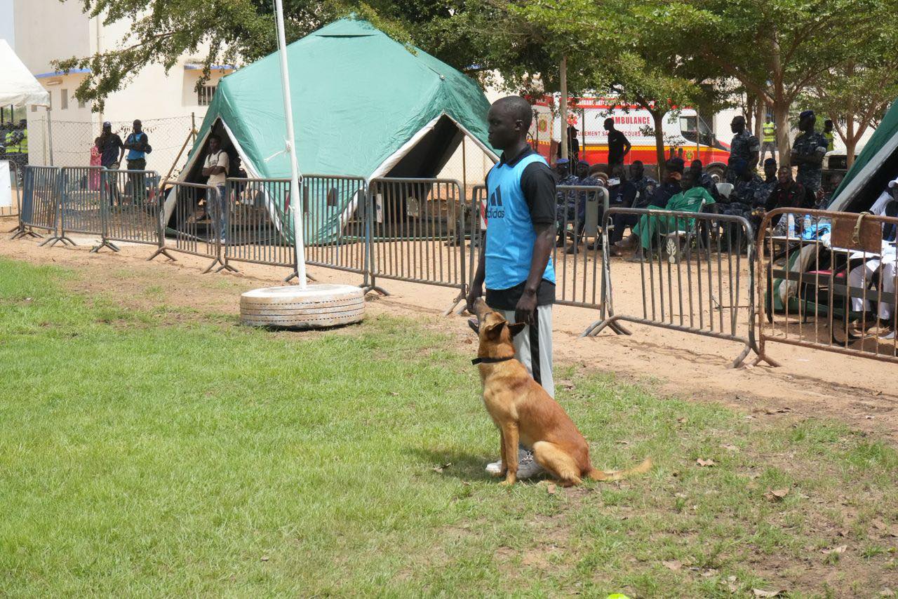 Gendarmerie nationale: une première édition du  Championnat de cynotechnie réussie - Image 2