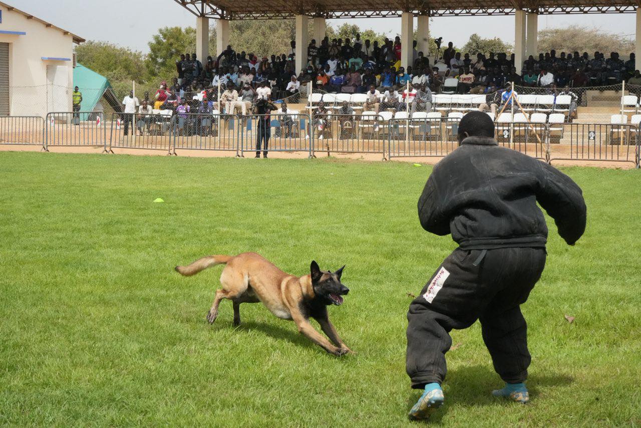 Gendarmerie nationale: une première édition du  Championnat de cynotechnie réussie - Image 3