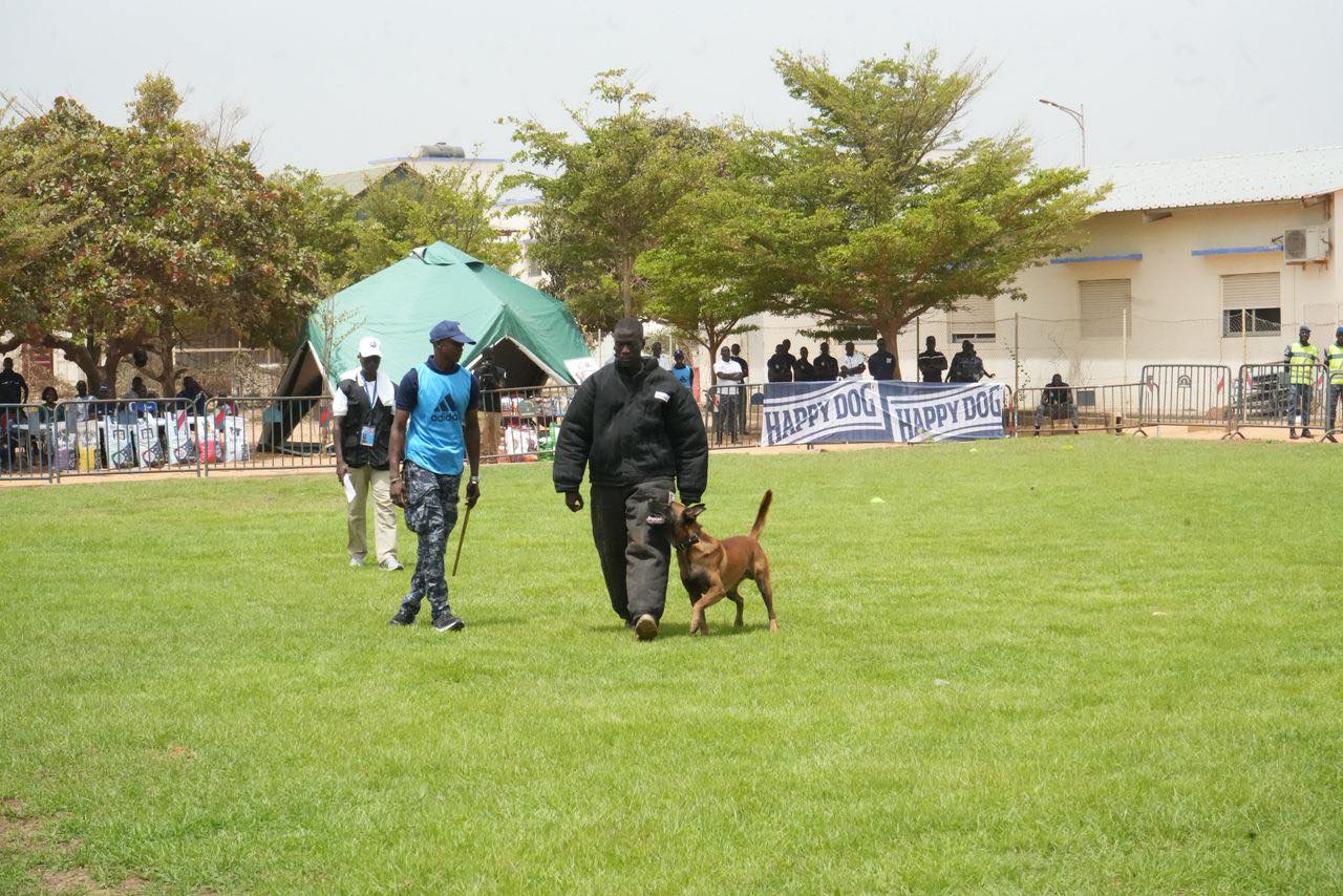 Gendarmerie nationale: une première édition du  Championnat de cynotechnie réussie - Image 4