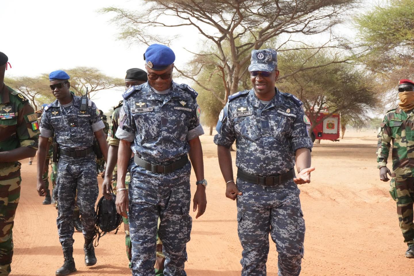 Campagne de tir des Armées : la Gendarmerie nationale, dans l’efficacité opérationnelle - Image 4