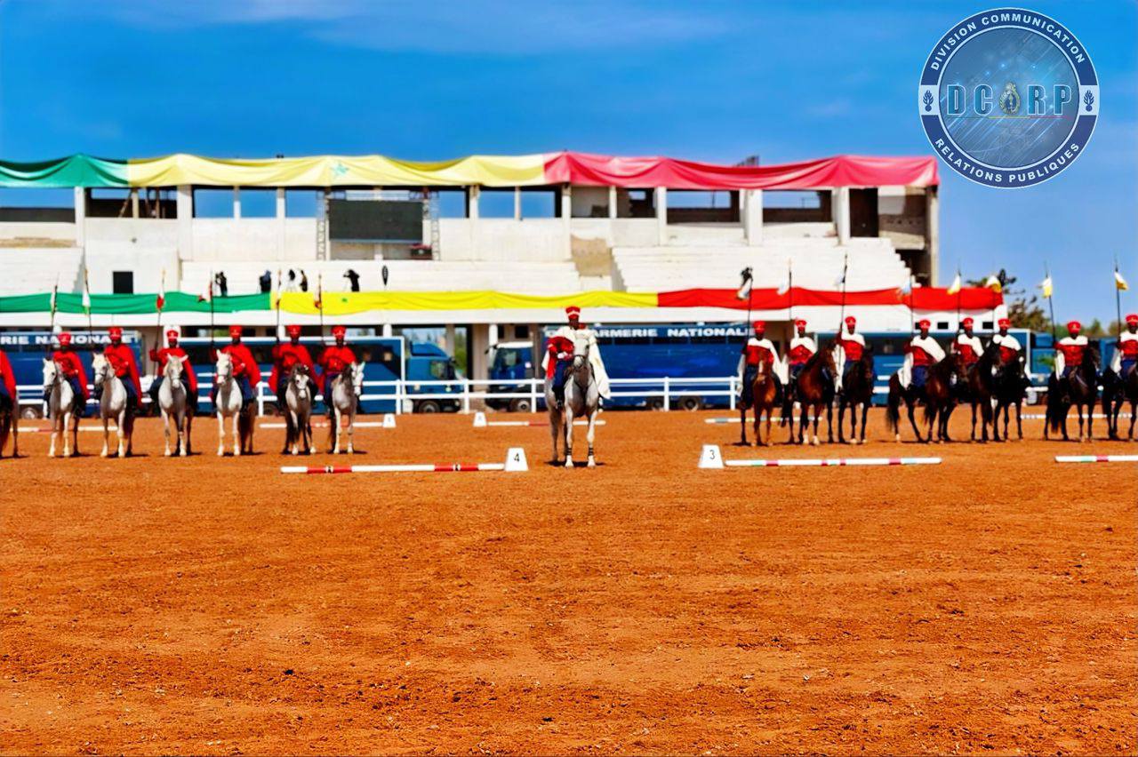 World Jumping Challenge : la Gendarmerie nationale en phase  préparative pour les jeux olympiques de la jeunesse - Image 2