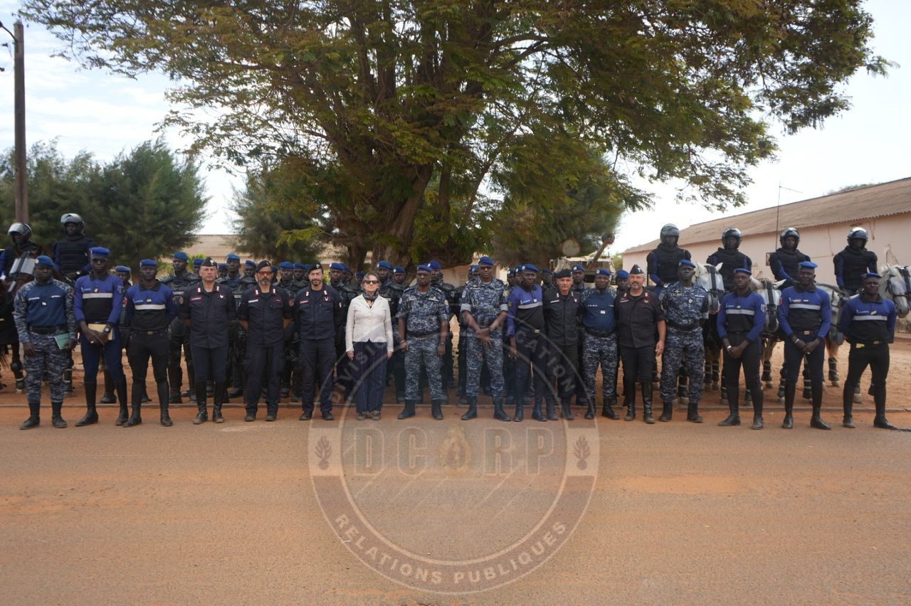 Coopération avec l'Arma dei Carabinieri : formation à l’utilisation des chevaux dans le maintien de l’ordre - Image 4