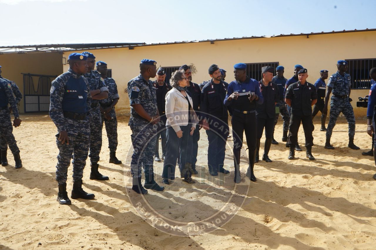Coopération avec l'Arma dei Carabinieri : formation à l’utilisation des chevaux dans le maintien de l’ordre - Image 6