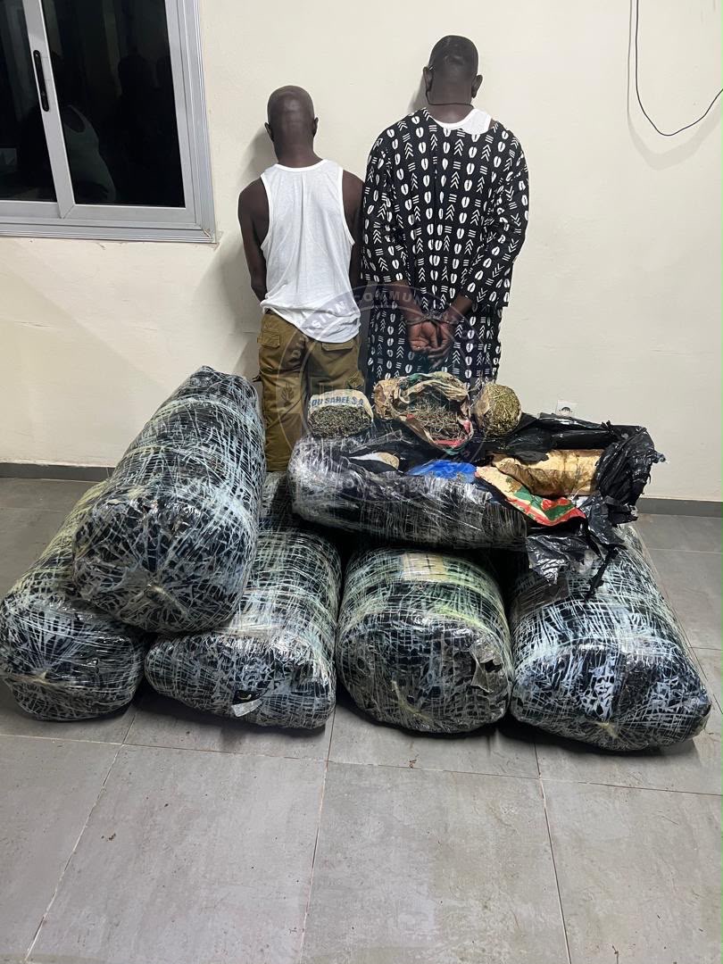 Lutte contre le trafic de drogue : plus de 300 kg de chanvre indien saisis à Thiaroye par la brigade de recherche de Keur Massar