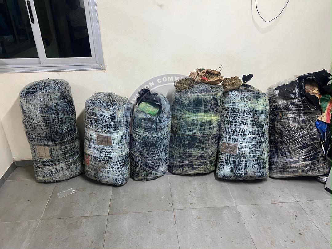 Lutte contre le trafic de drogue : plus de 300 kg de chanvre indien saisis à Thiaroye par la brigade de recherche de Keur Massar - Image 1
