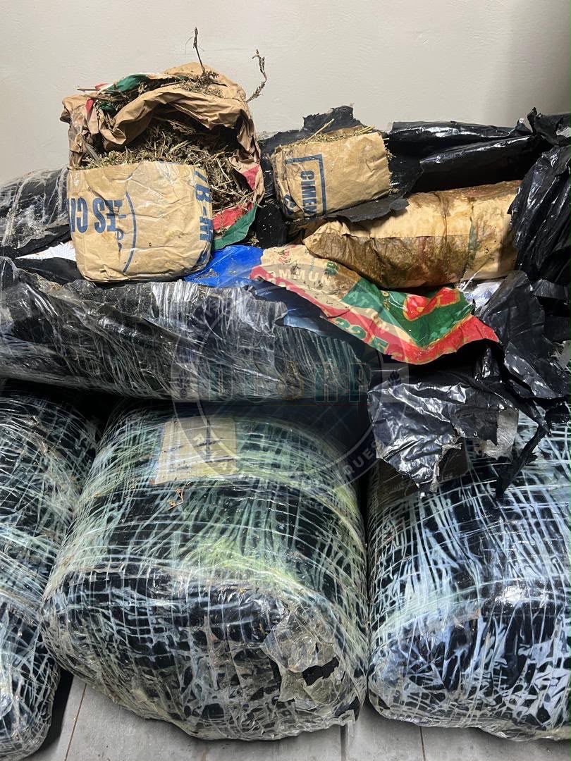 Lutte contre le trafic de drogue : plus de 300 kg de chanvre indien saisis à Thiaroye par la brigade de recherche de Keur Massar - Image 2
