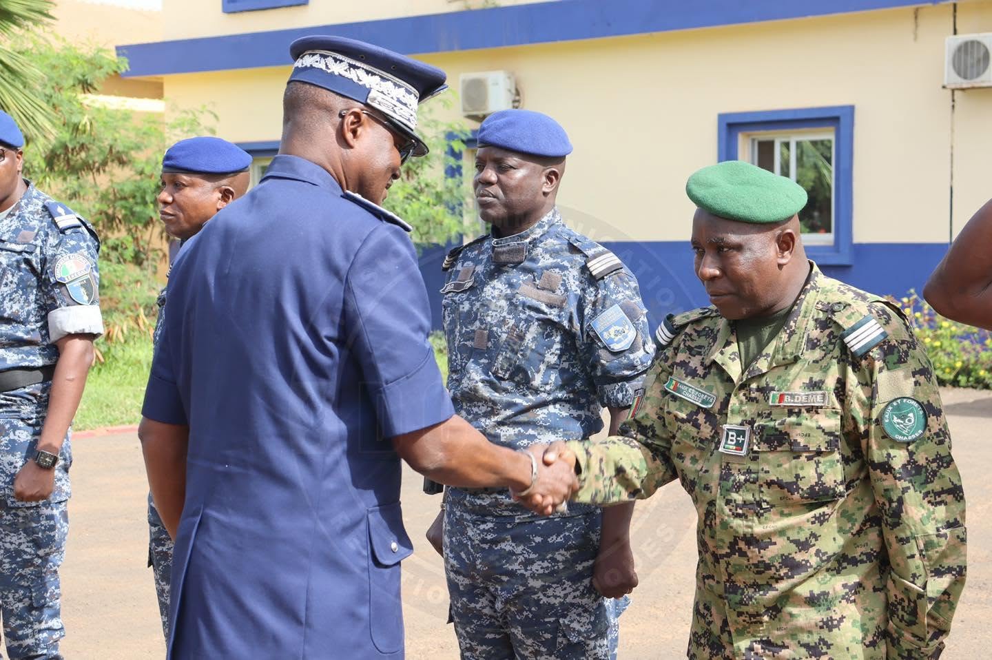 Reboisement  à la LGI de Mbao: EDEEN et la Gendarmerie nationale s’unissent  pour l'environnement - Image 4