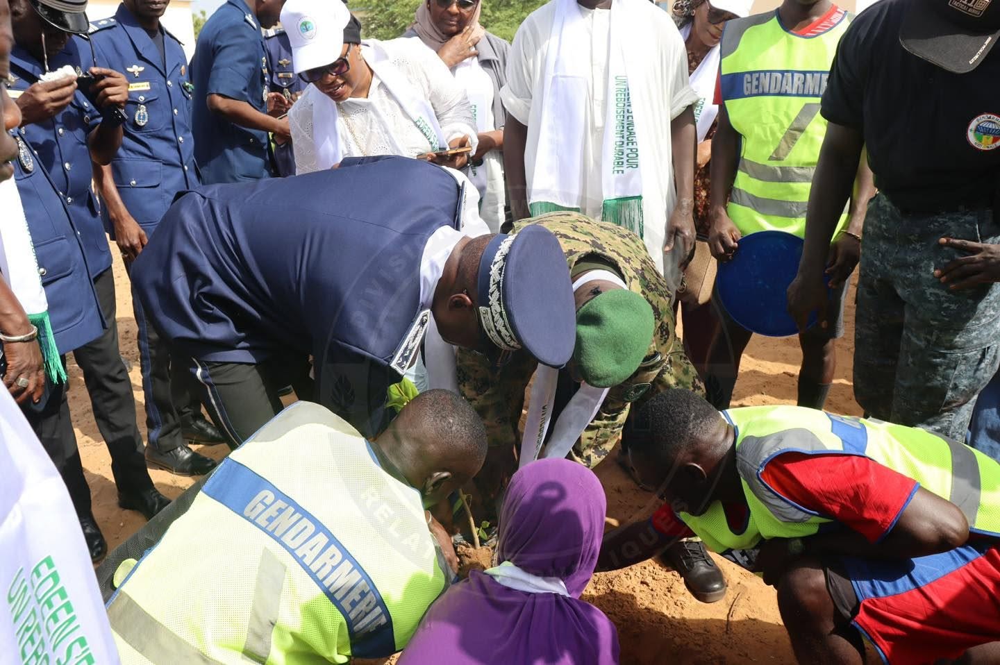 Reboisement  à la LGI de Mbao: EDEEN et la Gendarmerie nationale s’unissent  pour l'environnement - Image 6