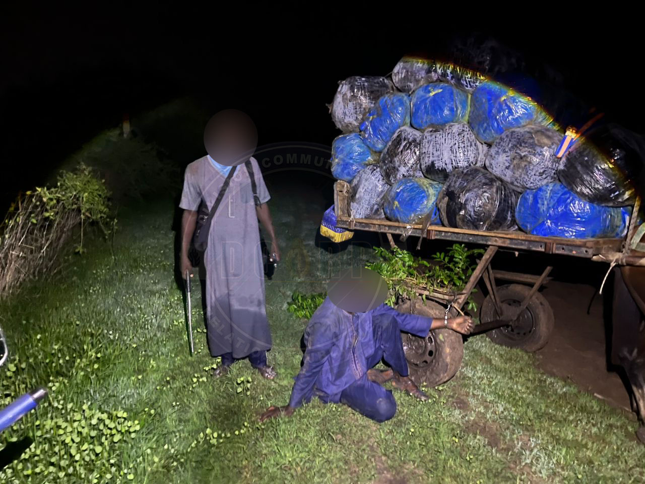 Lutte contre le trafic de stupéfiants: quatre cent vingt-sept (427) kilogrammes de chanvre indien saisis à Mbodiène par la compagnie de Gendarmerie de Mbour. - Image 1