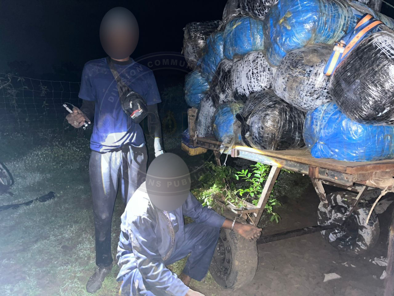 Lutte contre le trafic de stupéfiants: quatre cent vingt-sept (427) kilogrammes de chanvre indien saisis à Mbodiène par la compagnie de Gendarmerie de Mbour.