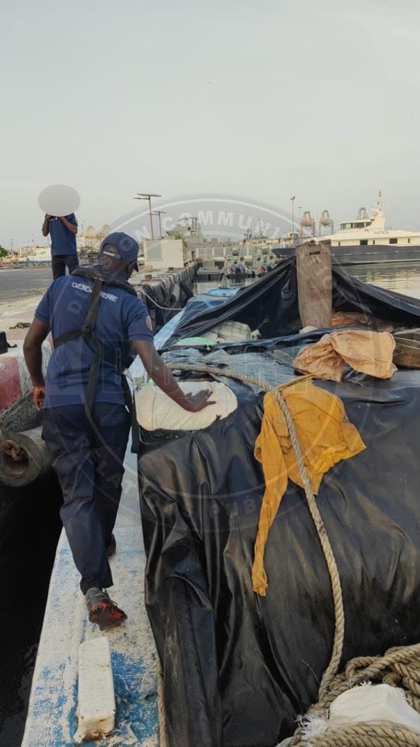 La Section Environnement de la Gendarmerie nationale saisit six (06) tonnes de cuisses de poulet de contrebande au large de Dakar.
